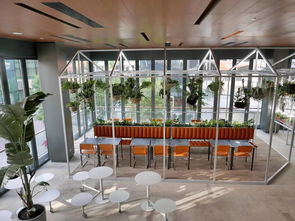 餐厅如何上热门,广州热门餐厅
