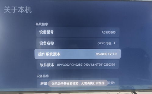直播顺序及技巧,直播技巧和方法