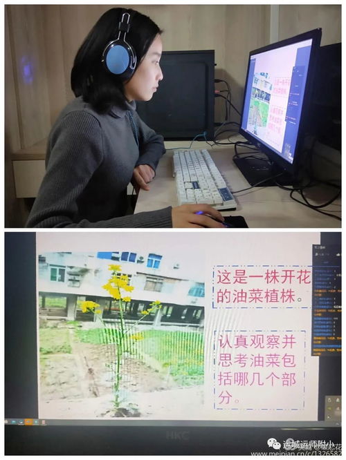 钉钉直播课堂直播技巧,钉钉课堂直播怎么用