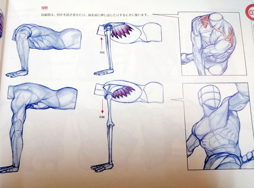彩云直播技巧绘画,彩云直播技巧绘画教学