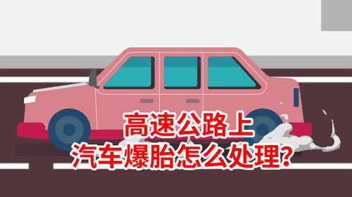 交通安全直播技巧,安全交通直播课