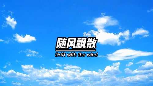 抒情文案如何上热门,抒情文案长句