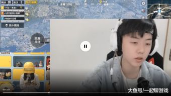 吃鸡直播技巧小视频,吃鸡直播技巧小视频大全