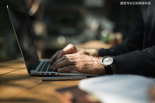 古玩直播场景搭建技巧,古玩直播带货怎么赚钱