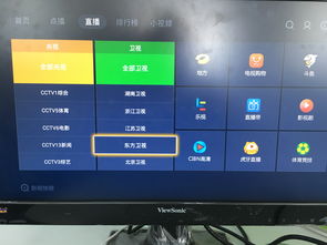 卫视直播回放技巧,天津卫视新闻联播直播回放