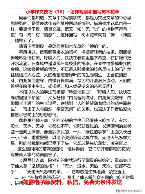 小学作文技巧直播,小学生作文讲座视频直播