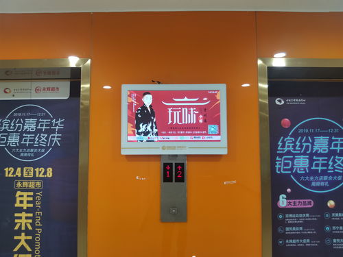 宠物店视频如何上热门宣传,宠物商店视频