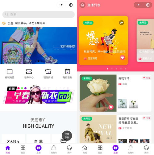 小白的直播小技巧,直播入狱小技巧的小说