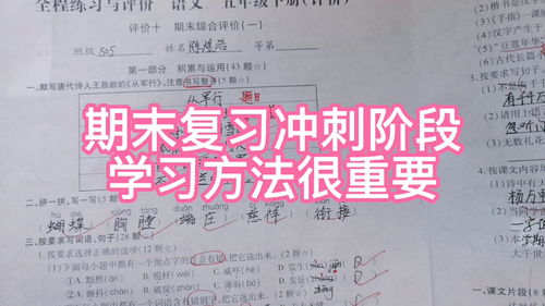期末答题技巧直播,期末考试的题怎么做