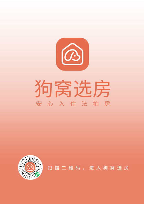 直播干货技巧套路,直播干货话术