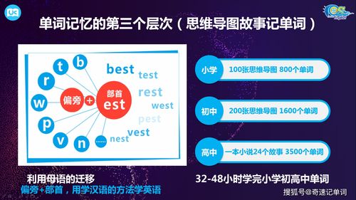 学单词技巧直播,学英语单词视频教程