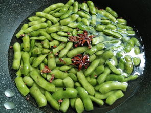 成都毛豆直播技巧,毛豆平台