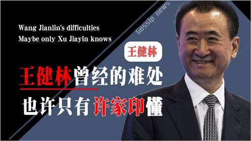 王健林直播技巧,王健林被采访