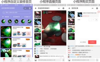 直播拍卖宠物技巧,直播间拍卖怎么玩