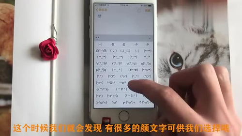 直播快速打字技巧,电脑快速打字方法与技巧