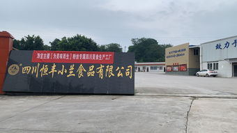 食品工厂直播技巧,食品行业直播
