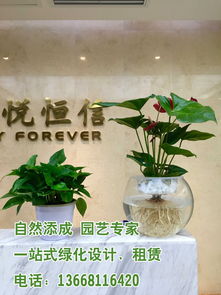 直播卖花盆的话术技巧,直播卖螃蟹的话术技巧