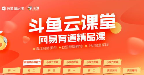 网易直播弹幕技巧,网易云音乐直播弹幕