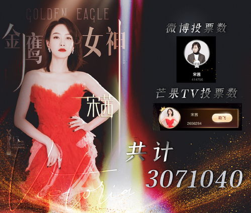金鹰直播技巧衣服,金鹰直播频道在什么软件上看