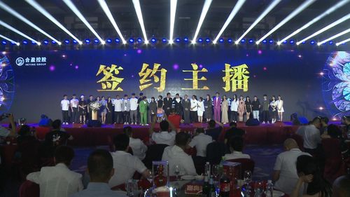 APEC直播技巧组合,apec vof