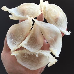 燕窝的直播技巧,燕窝直播带货