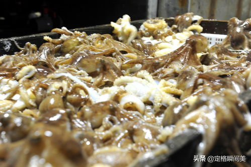 八爪鱼海鲜直播技巧,八爪鱼海鲜吃播