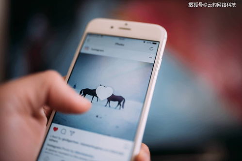 直播抽奖秒杀技巧视频,直播抽奖秒杀技巧视频大全