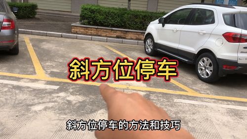 入库停车技巧直播,老司机教你停车入库