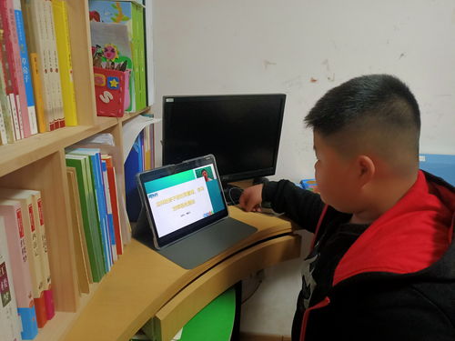 小学直播课程技巧,小学直播课程教学免费