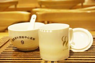 杯子直播技巧,杯子秀视频