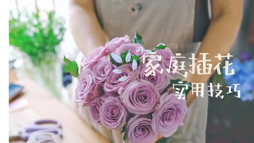 种花小技巧直播,种花怎么种的视频