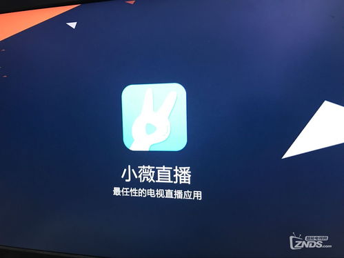 直播技巧解答,直播技巧和话术