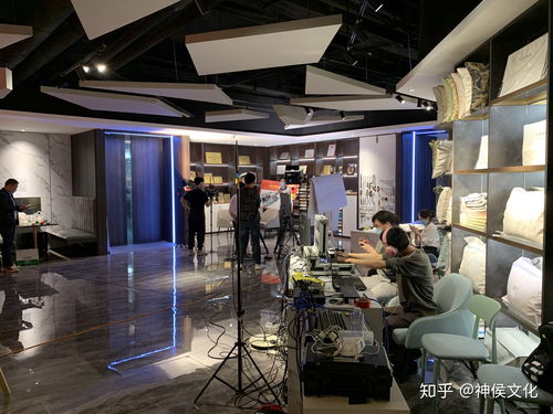 家居技巧直播回顾,家居类直播