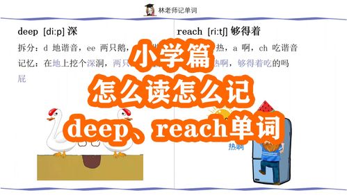 小学英语技巧直播,小学英语直播课哪家好