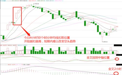 直播发盘板块技巧,直播发盘板块技巧是什么