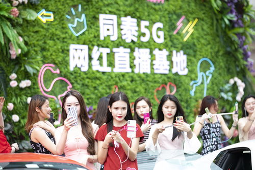 工会直播带货技巧,入工会直播