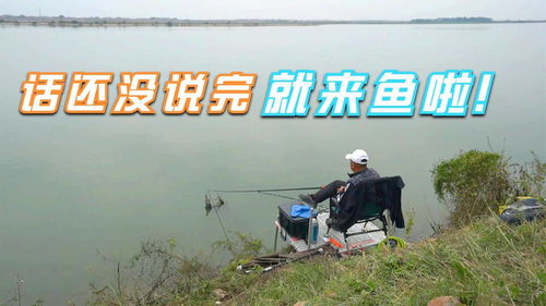钓鱼类直播玩法技巧,钓鱼类直播玩法技巧和方法