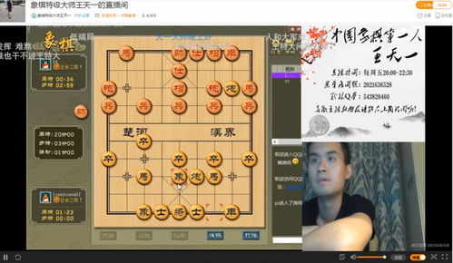 中华象棋直播技巧,中华象棋直播技巧教学