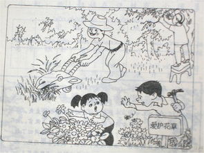 看图写话二年级技巧直播,小学语文轻松学二年级看图写话视频