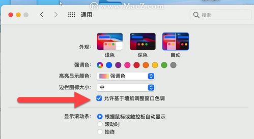 苹果11直播技巧,苹果11直播怎么调美颜