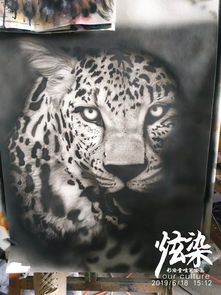 猎豹直播技巧绘画,猎豹直播nba006无卡顿