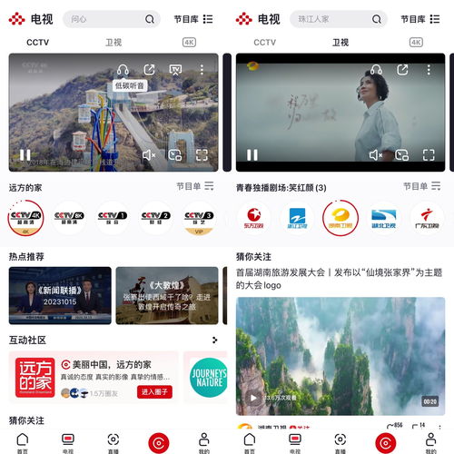 搜直播技巧,直播频道怎么搜索