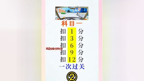 扣分罚款题直播技巧,扣分罚款怎么缴纳
