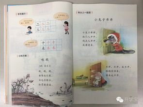 小学语文识字技巧直播,小学语文识字教学方法视频