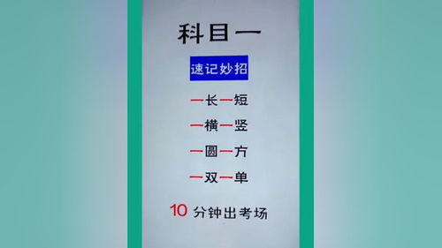 驾考技巧理论直播,驾考理论培训技巧软件