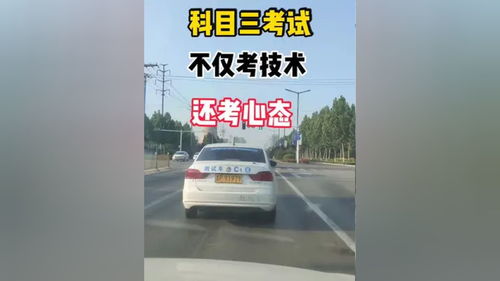 驾考技巧直播同城,驾考直播软件