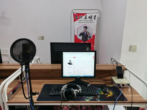 直播声卡选择技巧,直播声卡如何选择