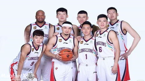 辽宁男篮直播技巧,辽宁男篮直播cctv5