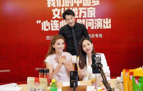 辛有志直播技巧,辛有志直播怎么买东西