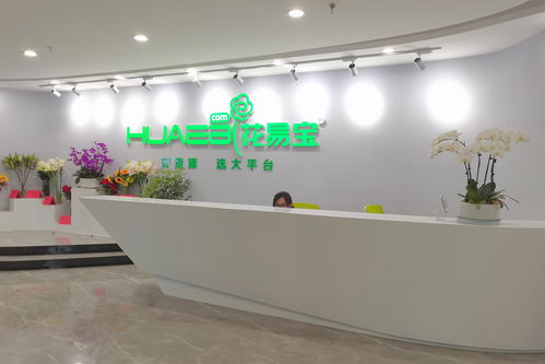 直播技术技巧展示活动,直播技术流程
